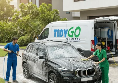 Tidy Go