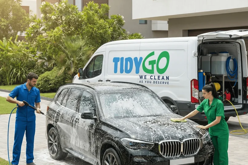 Tidy Go